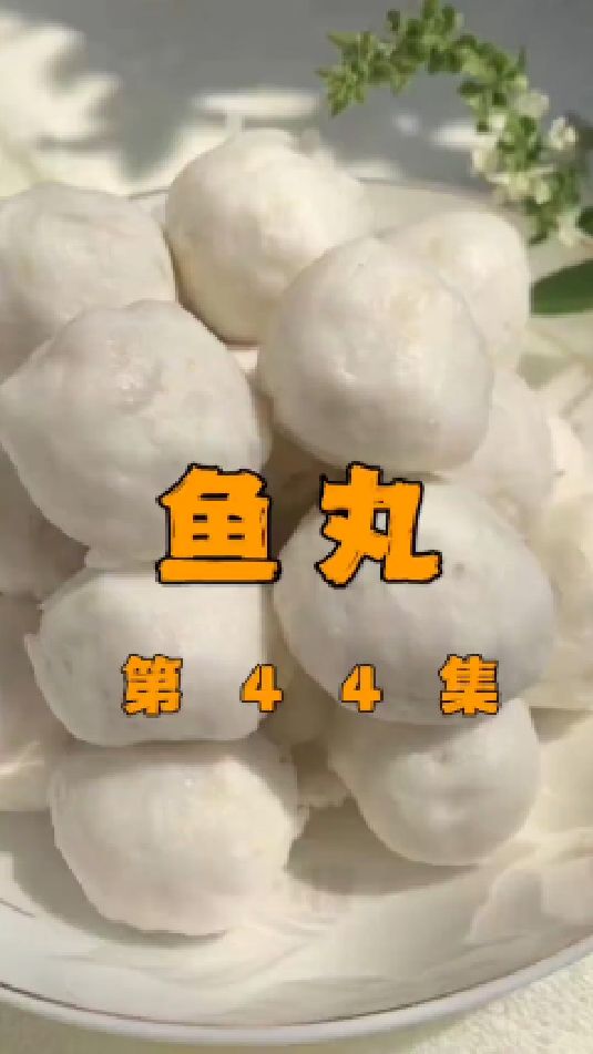 #鱼丸 #传统手艺 应粉丝想学的潮汕鱼丸它来了