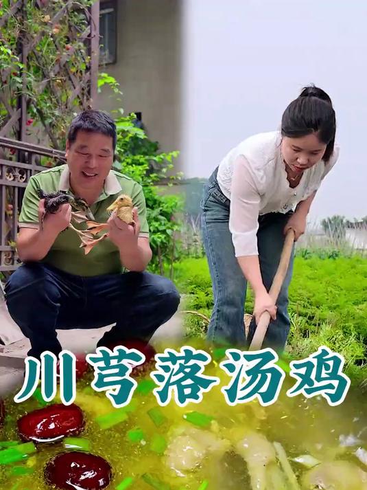 又到了吃螺蛳的季节,跟着阿春在农村简单吃顿螺蛳鸡它不香吗