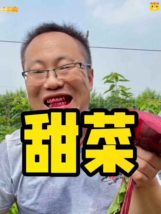 天然补铁小能手甜菜根让你气血满满红光满面