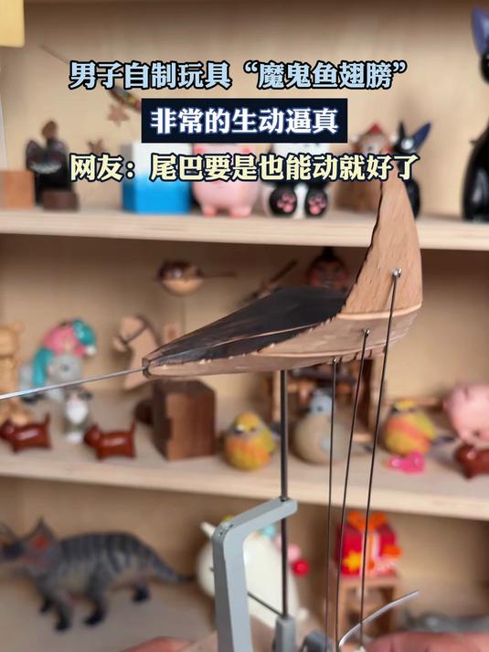 男子自制玩具“魔鬼鱼翅膀”,非常的生动逼真