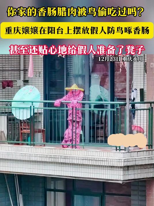你家的香肠腊肉被鸟偷吃过吗?重庆嬢嬢在阳台上摆放假人防鸟啄香肠 甚至还贴心地给假人准备了凳