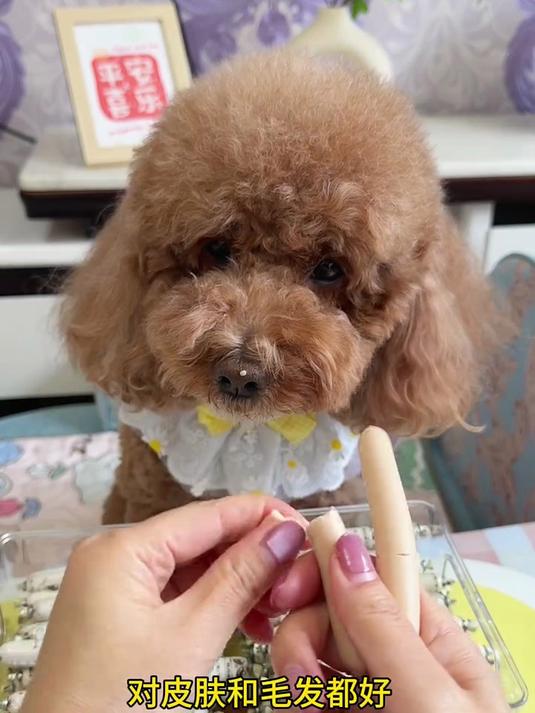 养狗的朋友快来囤这个鸭肉鳕鱼火腿肠