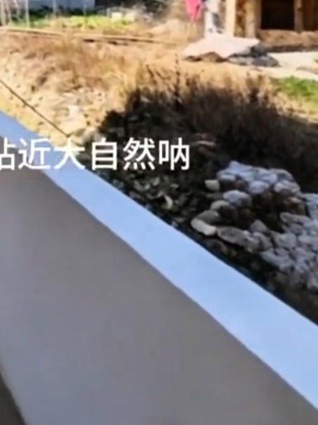 一想到厕所放家里自己闻臭味就很生气，于是女子把厕所改到家阳台