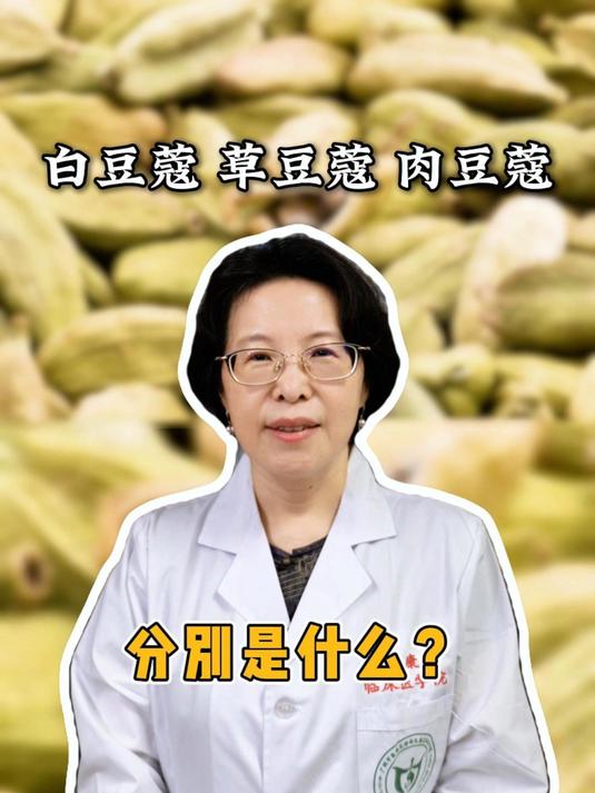 白豆蔻、草豆蔻、肉豆蔻,分别是什么?