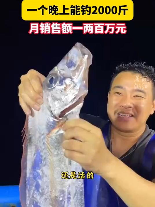 刚钓上来的活带鱼见过吗?舟山渔民海上直播钓带鱼一晚上能钓2000斤