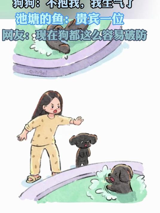 狗狗:不抱我,我生气了 池塘的鱼:贵宾一位