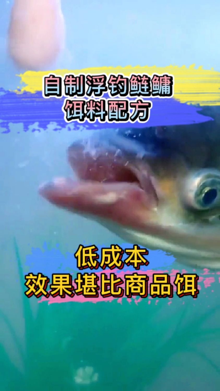 豆腐渣钓鲢鳙,鱼获满当当,自制浮钓鲢鳙饵料配方,效果非常好