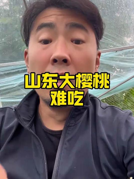 #记录农村生活日常#你们吃的山东大樱桃怎么样评论区告诉我 #山东助农 #山东到底有多好吃 