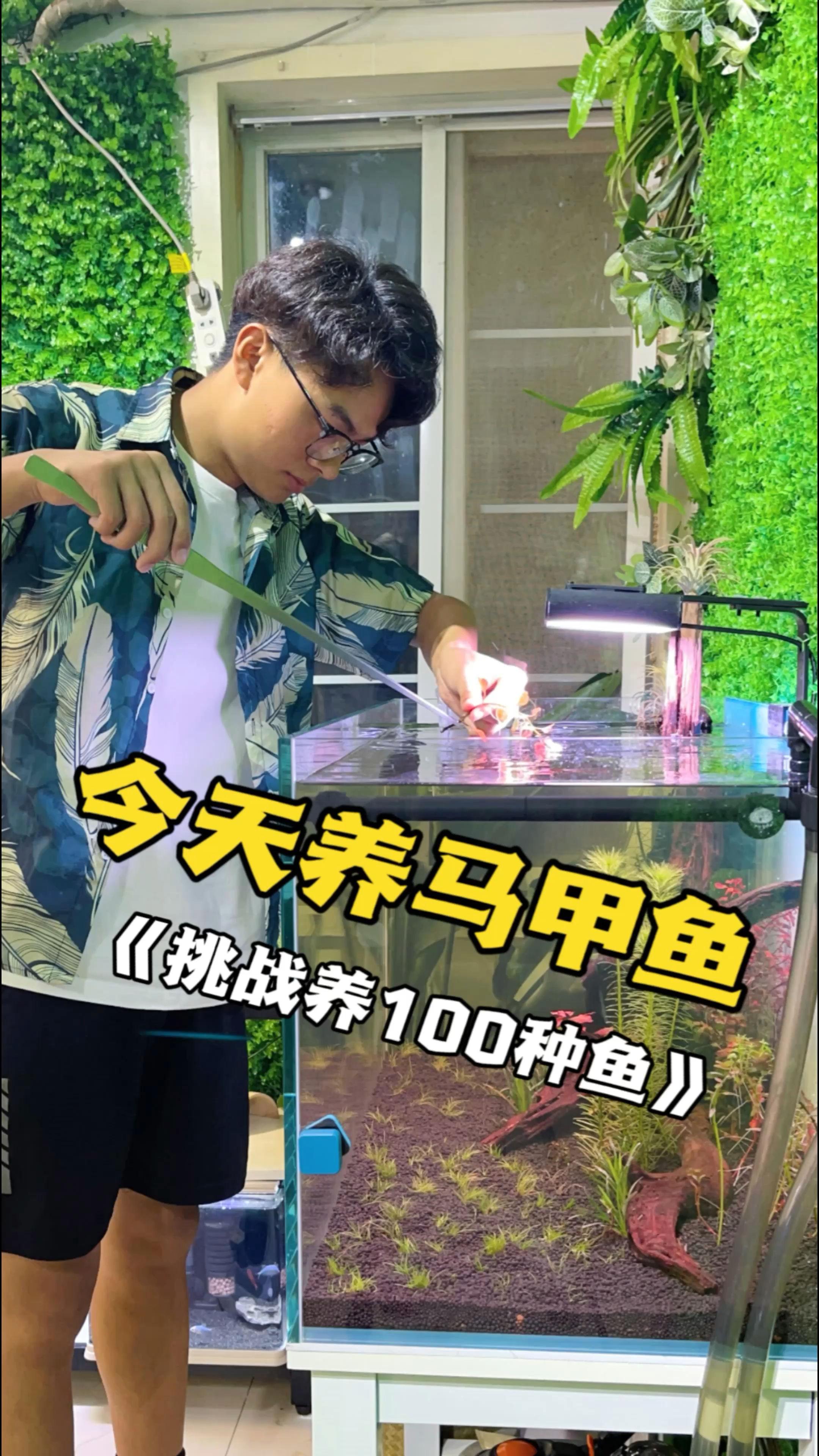 你们推荐的珍珠马甲鱼今天我种草啦