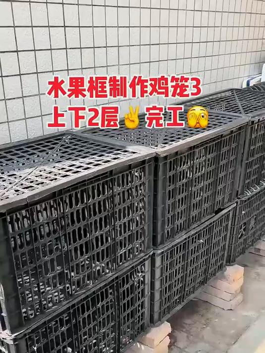 闲置的水果筐,也能改造成鸡笼,看看师傅自制的两层鸡笼怎么样