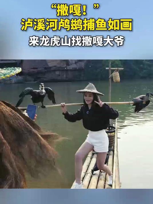 “撒嘎!”泸溪河鸬鹚捕鱼如画，来龙虎山找撒嘎大爷！