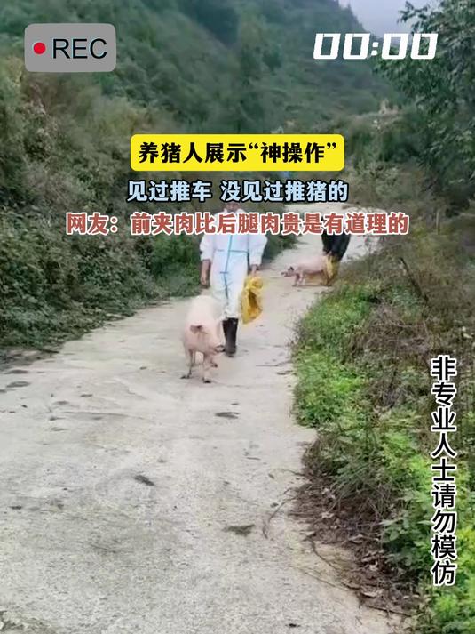 养猪人展示“神操作”,见过推车 没见过推猪的,网友:前夹肉比后腿肉贵是有道理的