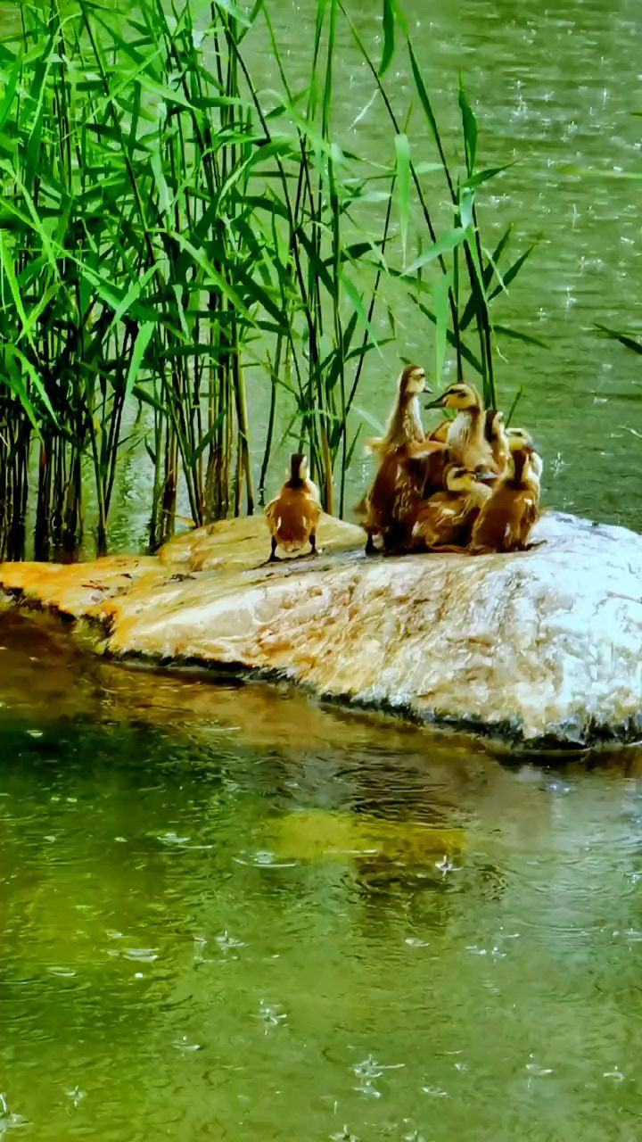 快乐其实很简单,遇见温馨的画面,就把它记录下来