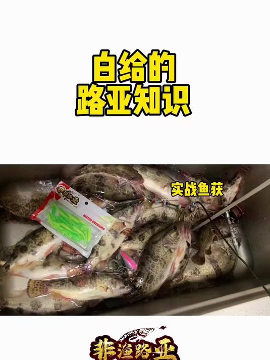 路亚鳜鱼用几号PE线