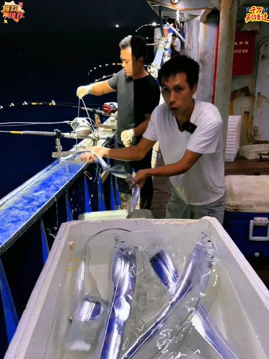 舟山雷达网带鱼在咱们原产地真的不贵_#海鲜原产地_