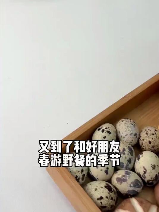是时候给好朋友准备春游野餐便当了