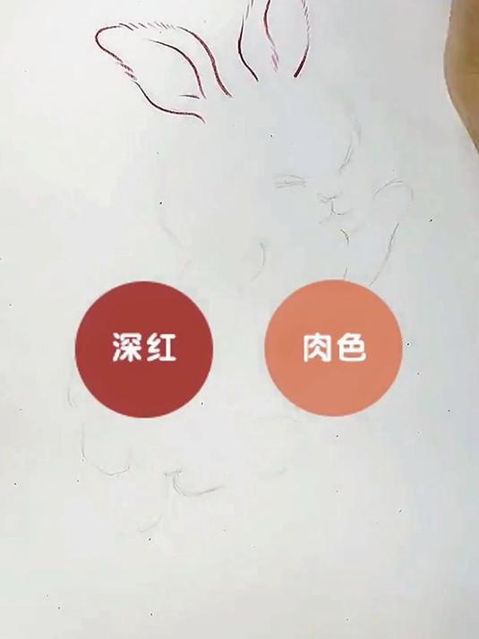 7个画彩铅小兔子儿童简笔画