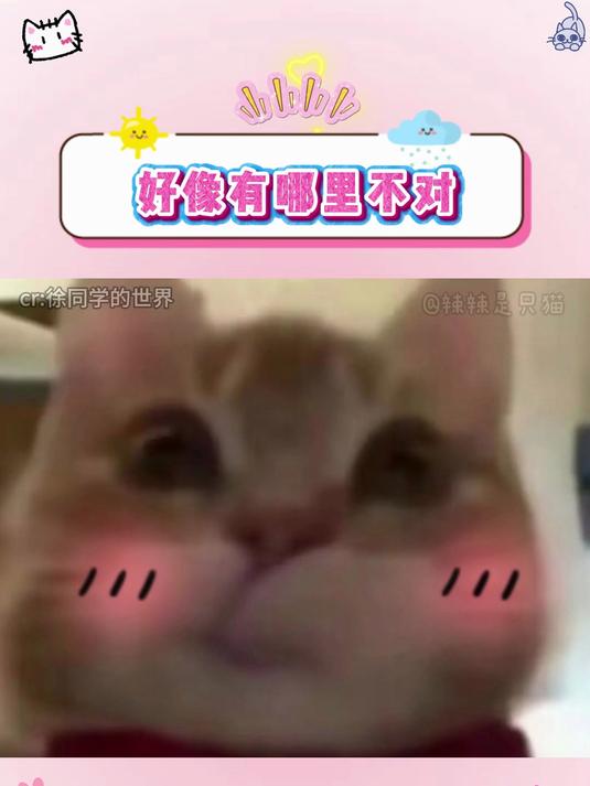 章鱼:他,他不会是……