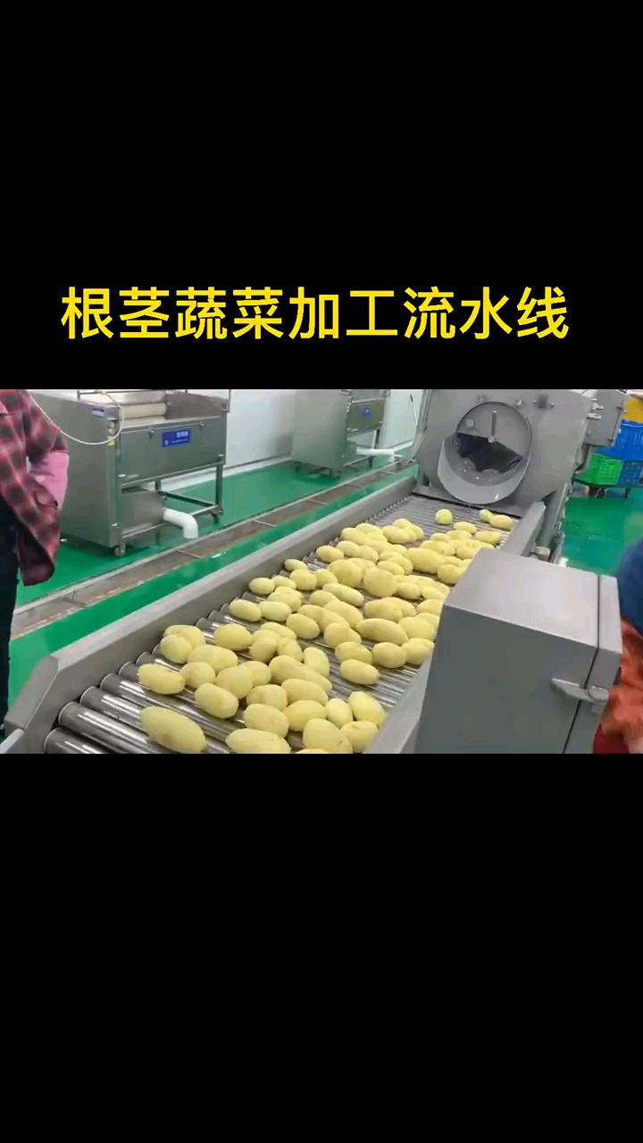 根茎类蔬菜加工流水线