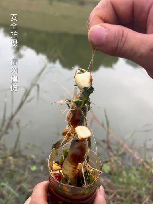 在河边遇到了两个奇葩在捕虾,发生了一点冲突后我也加入了……