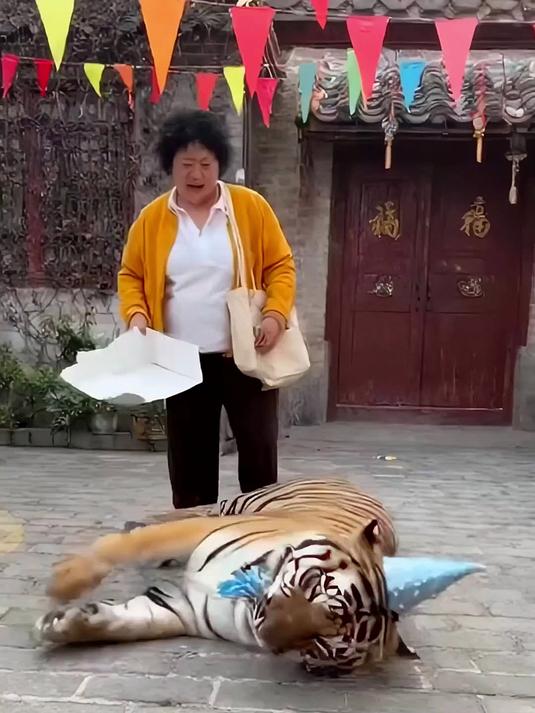 大妈忘记给老虎买蛋糕了