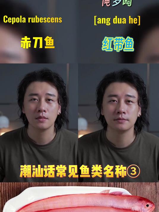 潮汕居然有这么乖的鱼?