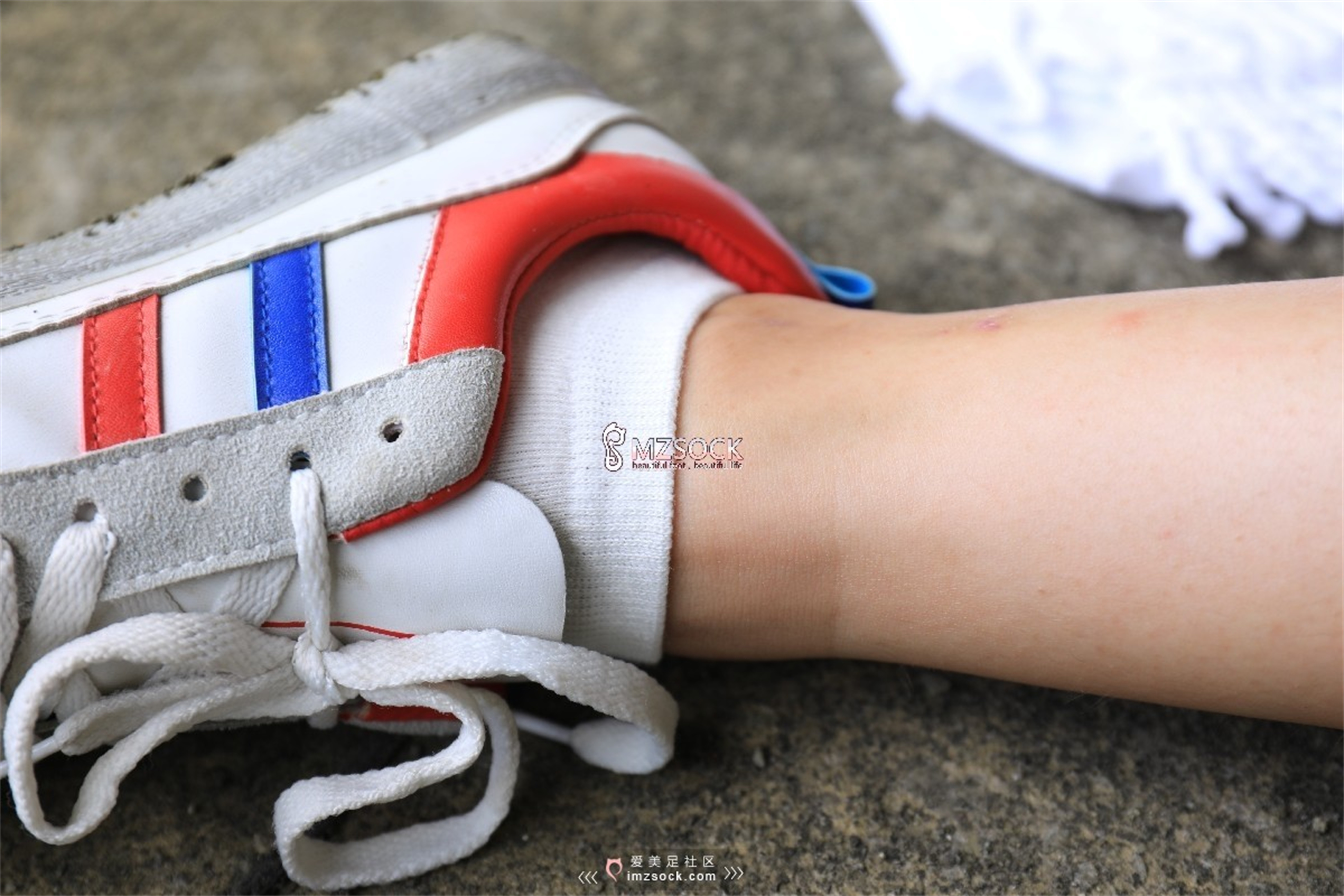 图片[52]-[MZSOCK]爱美足 NO.049 悦悦[122P403M]-六色网
