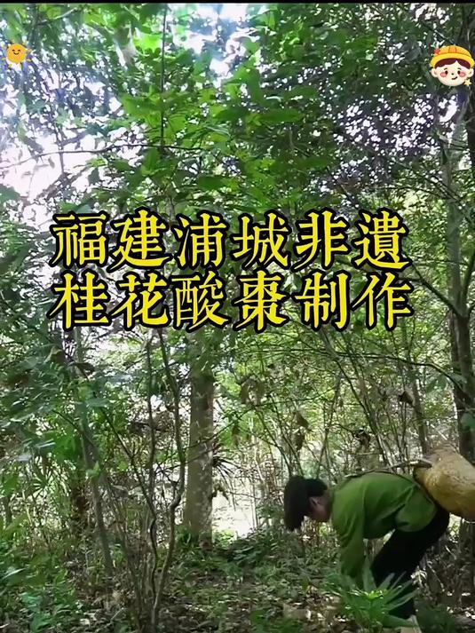 浦城酸甜韧滑开味解腻老少皆宜酸枣糕