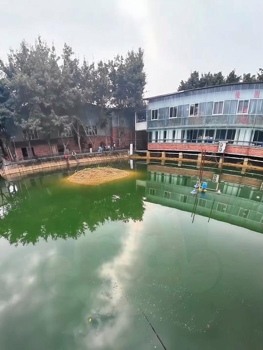 鳜鱼磨鱼万金油钓组_路亚_路亚鳜鱼_路亚黑坑_黑坑鳜鱼_鳜鱼偷驴