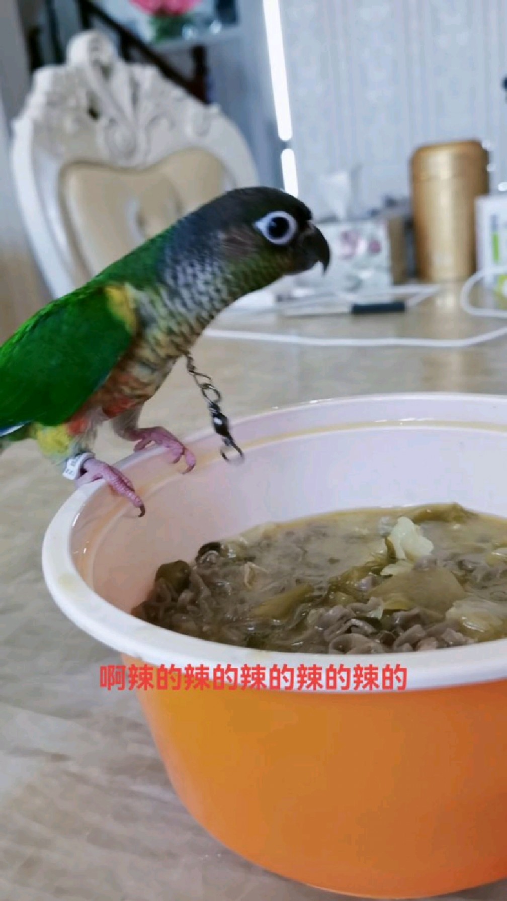 我家小太阳尝了一口我吃的酸菜鱼,这小表情亮了