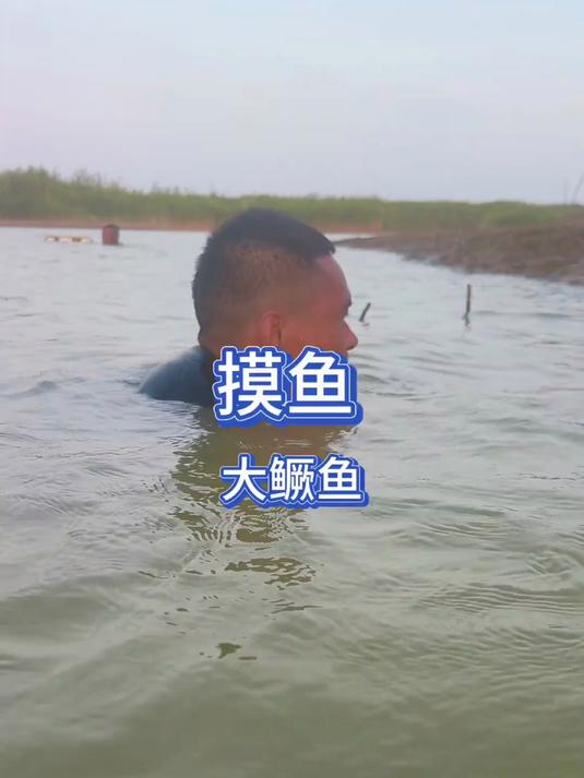适合摸鱼