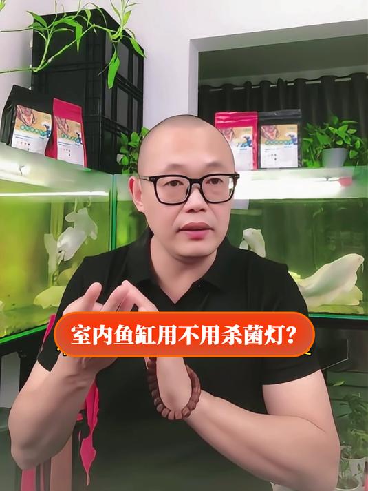 室内鱼缸用不用杀菌灯?