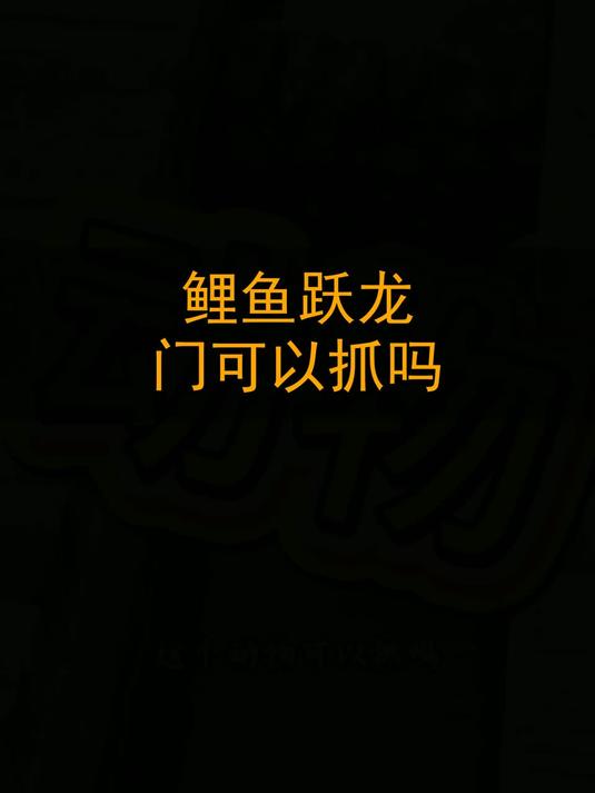 鲤鱼跃龙门可以抓吗？