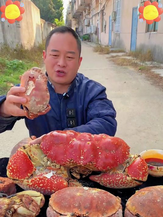 满膏满黄熟冻面包蟹 肉质紧实鲜甜 无添加 宴请家用硬菜
