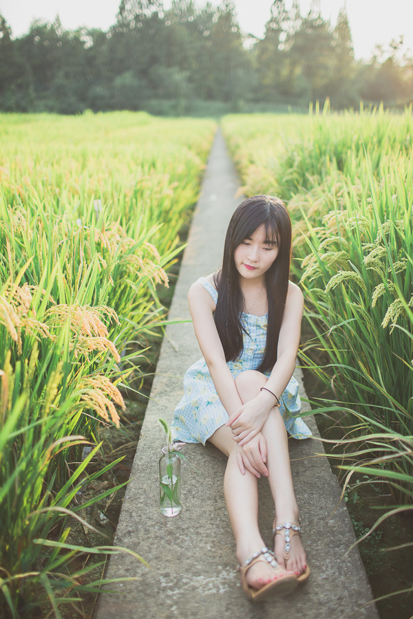 秋稻香-六色网