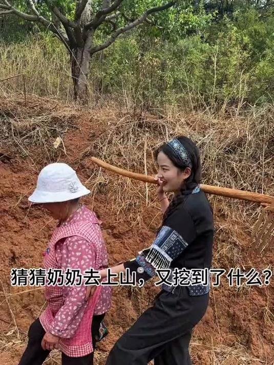 这种果树我们村里有很多,但你绝对没见过这么大的野生的!