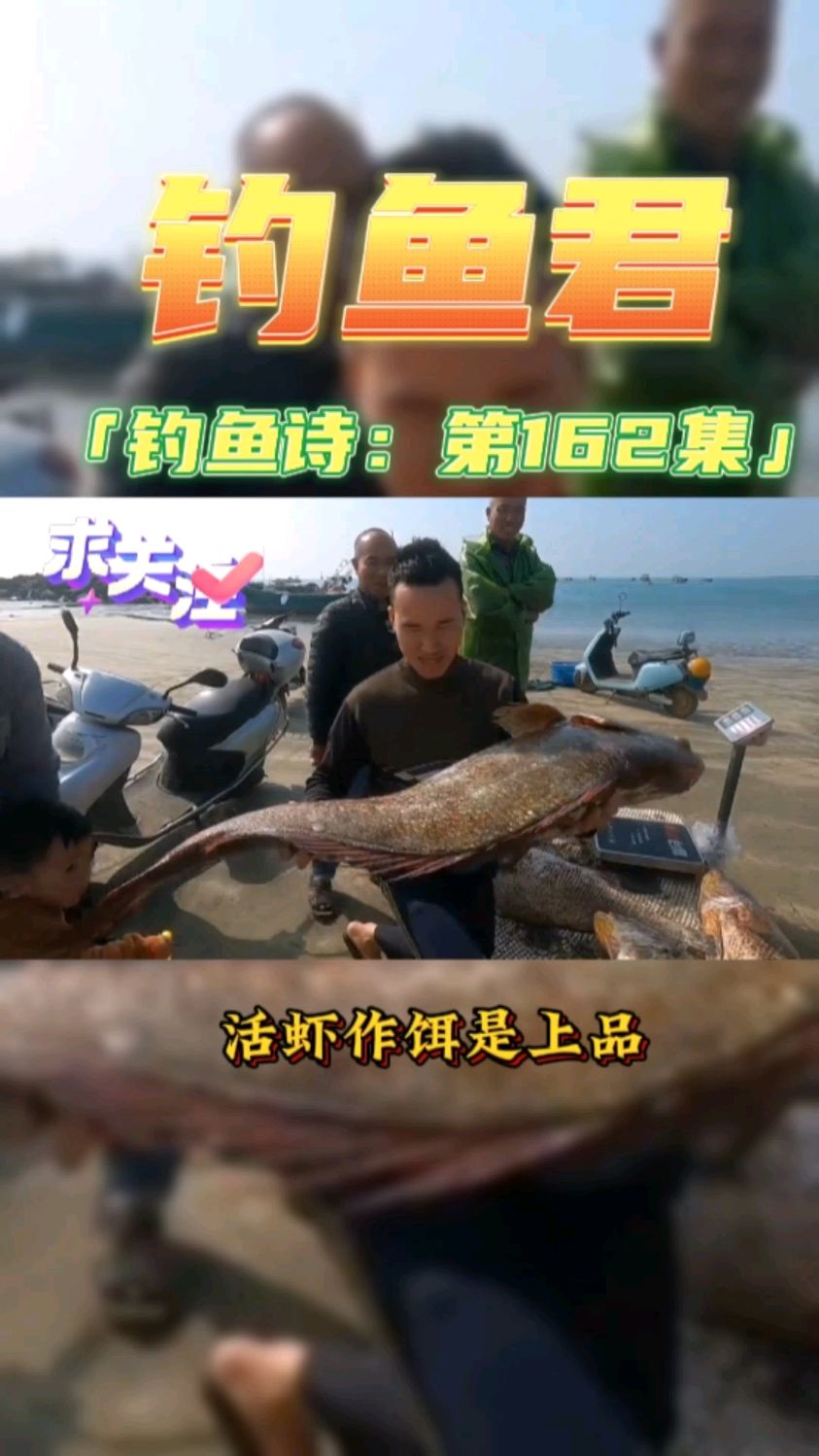 钓鱼君之钓鱼口诀:第162集(钓米鱼)鱼类百科,各位钓过此鱼吗?
