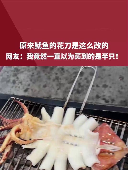 原来鱿鱼的花刀是这么改的 网友:我竟然一直以为买到的是半只!