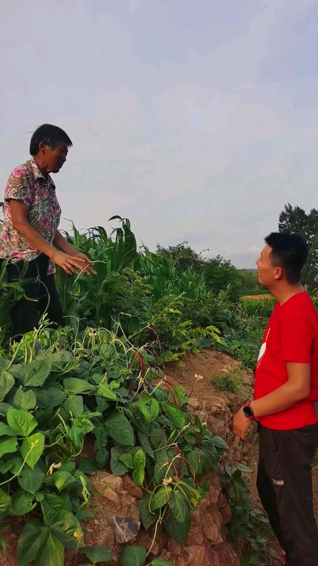 朴素无华的生活中反而处处是惊喜,泰安这位大娘的生活是否让你向往?