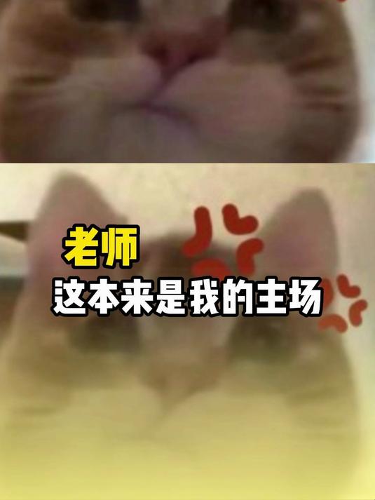 人家秋雅演讲，你搁那又蹦又跳的 万万没想到 搞笑