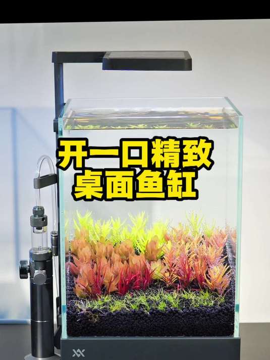 保姆级教程：怎么开一个精致的桌面小鱼缸~