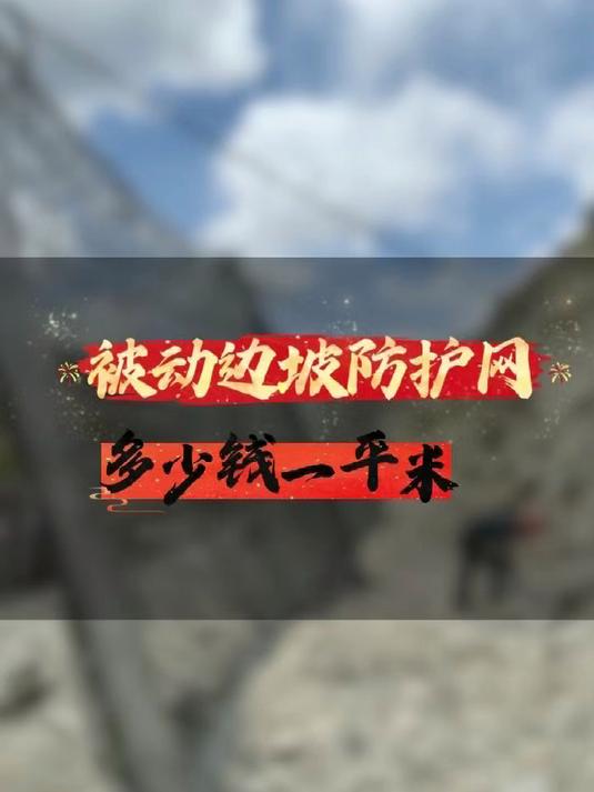 被动边坡防护网多少钱
