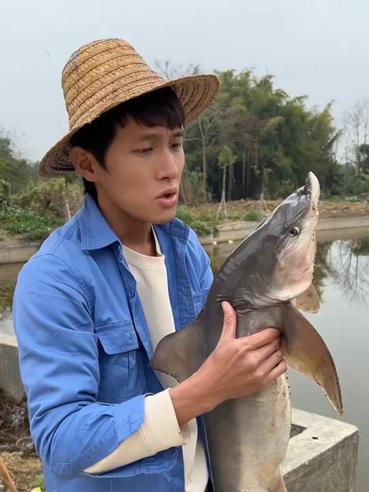 吃鲨鱼有什么需要注意的吗?(可食用尖头斜齿鲨,非保护物种)