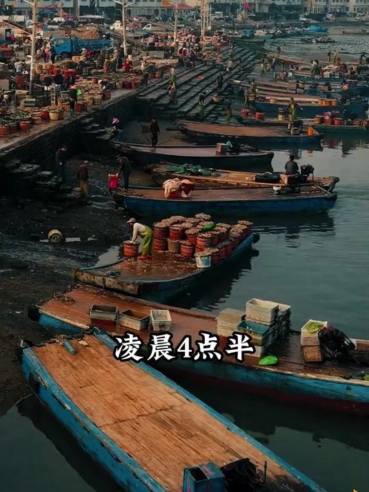 新鲜食材制作锁鲜发货,做法简单,早餐夜宵吃着都暖胃#福州鱼丸##百家号618现金奖励带货挑