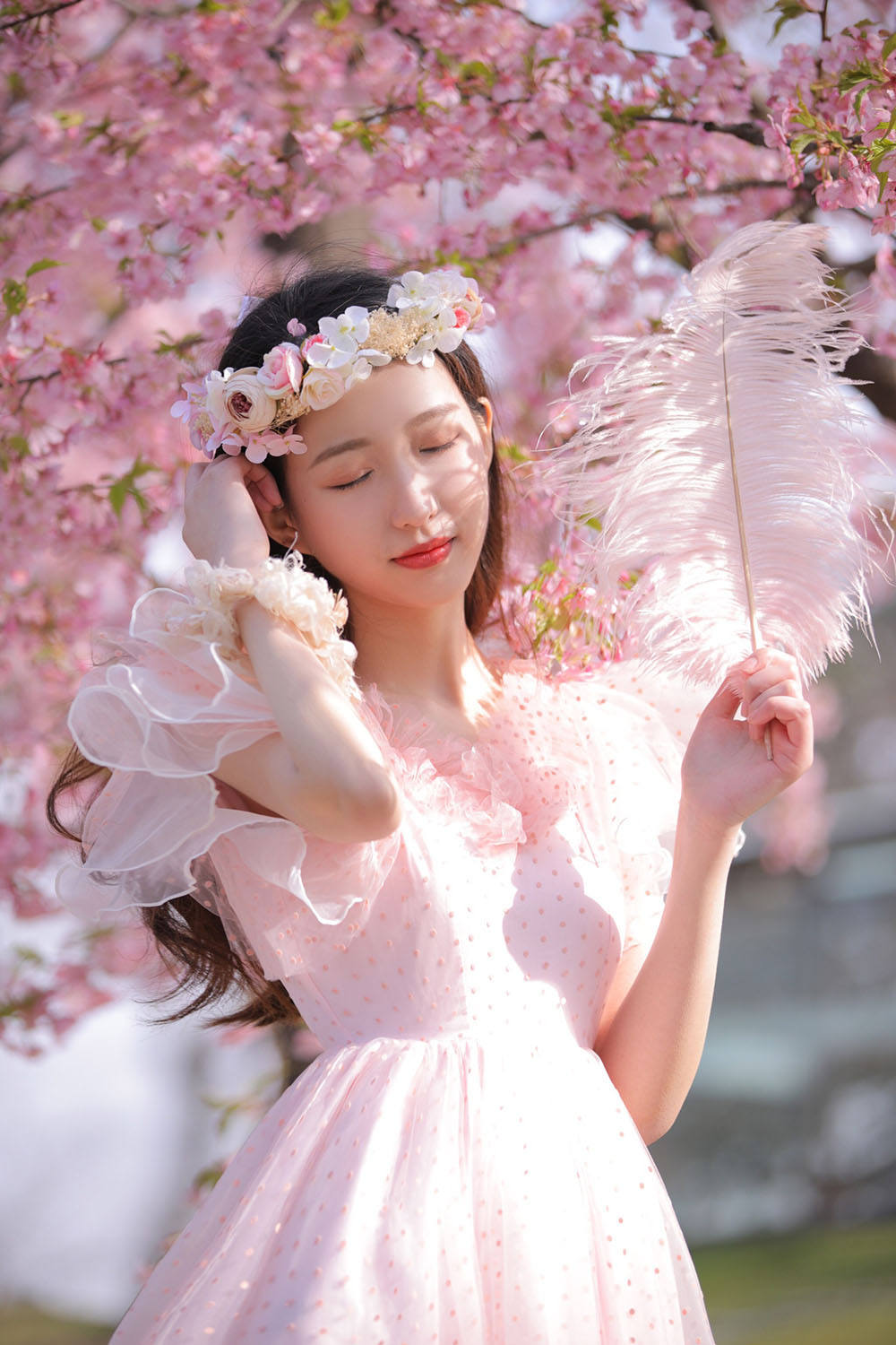 图片[33]-樱花-六色网