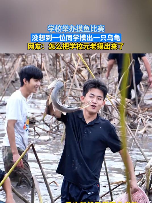 学校举办摸鱼比赛，没想到一位同学摸出一只乌龟