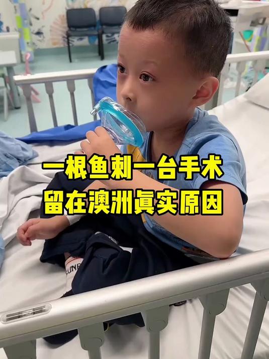 一根鱼刺,一台手术,留在澳洲真实原因