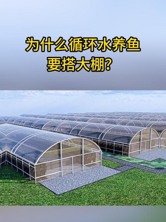 为什么循环水养鱼要搭大棚?不只是遮阳挡雨那么简单