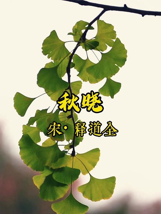宋代僧人笔下最美的秋晨,短短28字,空灵至绝,治愈人心