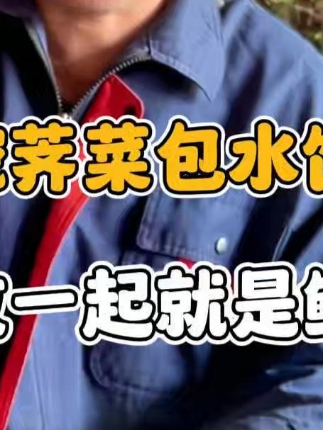 老海今天挖荠菜包水饺,和萝卜丝放一起就是鲜#海洋美食#